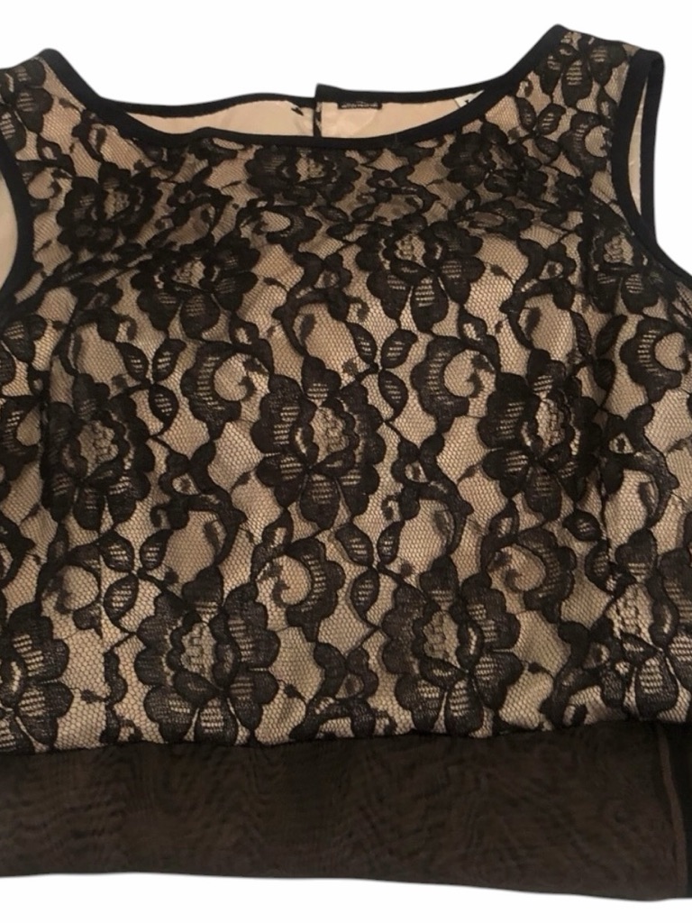 Ultra Dress Collection Large Black Lace,Nude Lined Button Back Sleeveless